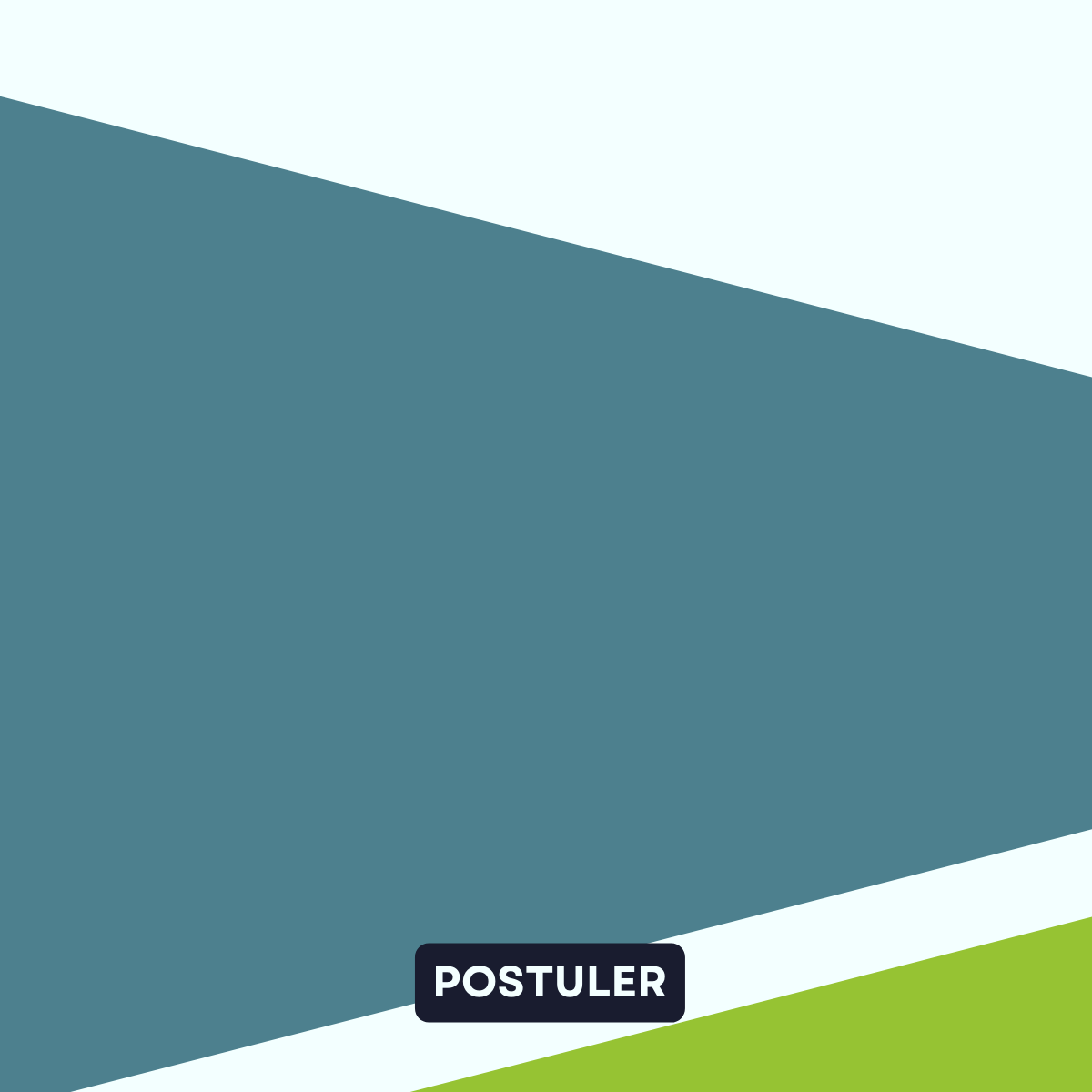 ACHETEUR (SE)